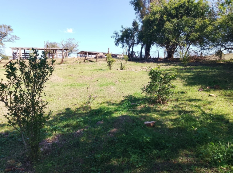 Sítio à venda ou troca na Cidade de Pereiras /SP